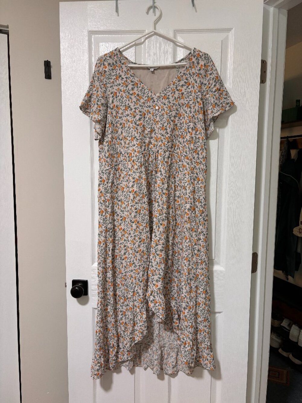 Citrus Print High-Low Midi Dress | Floral Flutter Sleeve Dress (Large)